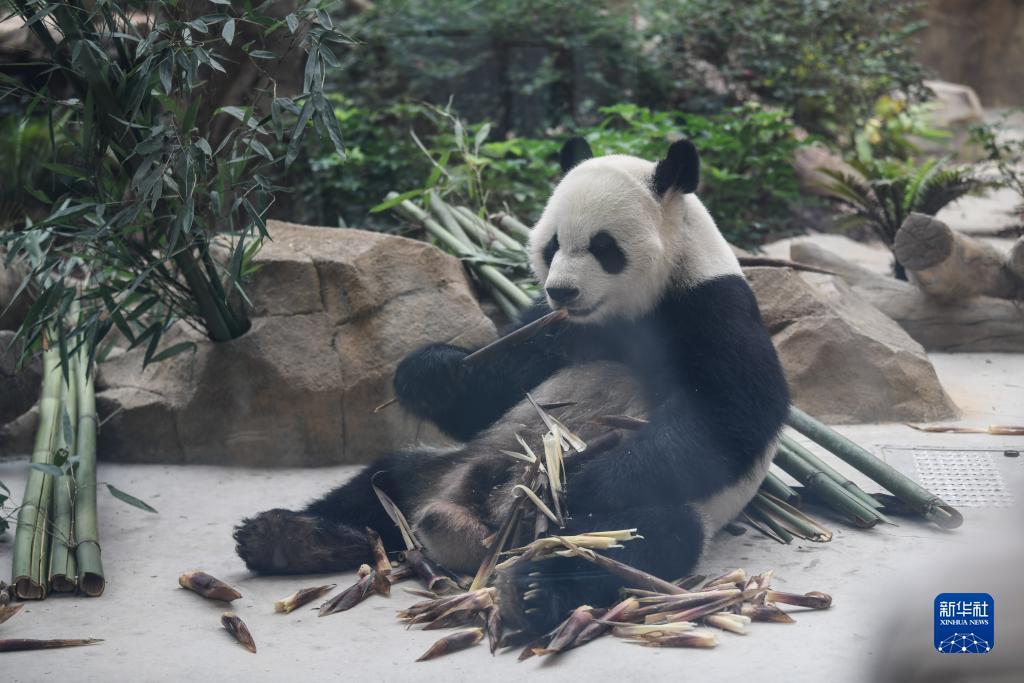 百汇娱乐